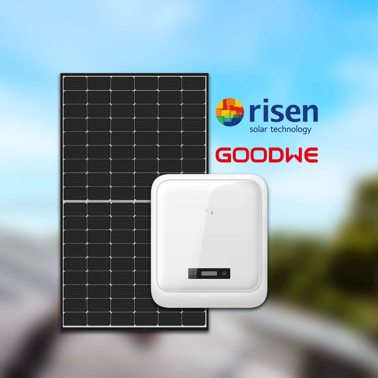 Risen Solar & GoodWe Inverter